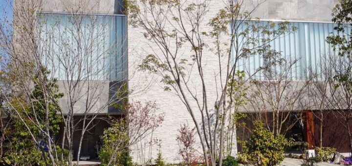 ホワイトストーンをお使いいただきました。