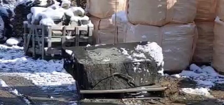 熊本からご来店！伊予青石お買い上げ