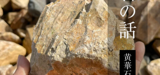 石の話「黄華石」