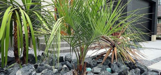 揖斐青黒割栗石の石敷きに、ガラスタンブルオーシャンブルー