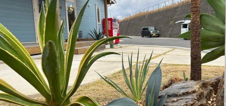 長崎県へ岐阜石をお送りしました。ありがとうございました。