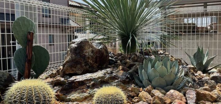 ドライガーデン石の選び方【６選】DIYで作る庭の設計から施工を解説