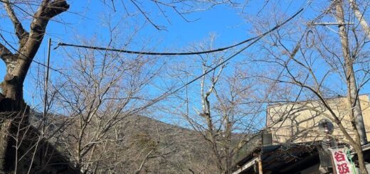 あけましておめでとうございます