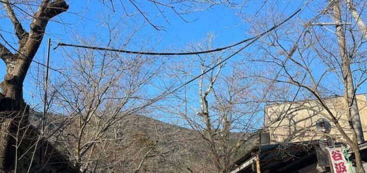 あけましておめでとうございます