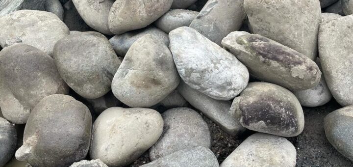 木曽川玉石　φ350-450mm入荷しました。