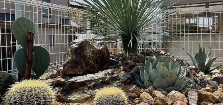 岐阜石を使ったドライガーデンを作られました。