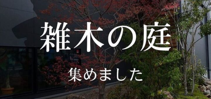 雑木の庭 集めました