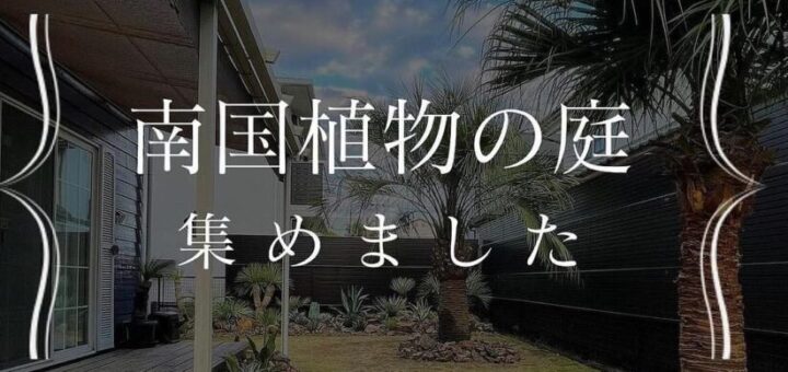 南国植物の庭、集めました