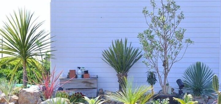 美容室のドライガーデン