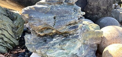 伊予青石　虫食い