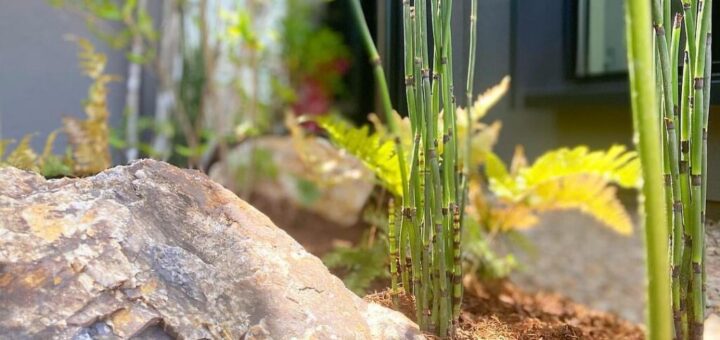 岐阜石、お買い上げ頂きました。ありがとうございます♪