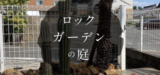 ロックガーデンの庭