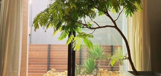 マーブルブラウンロックをお買い上げ