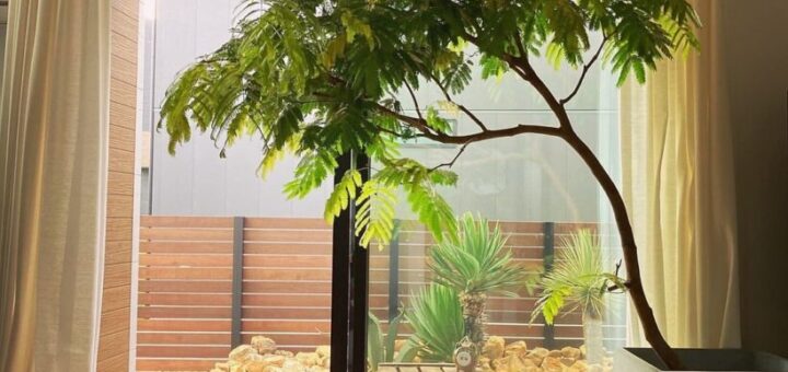 マーブルブラウンロックをお買い上げ