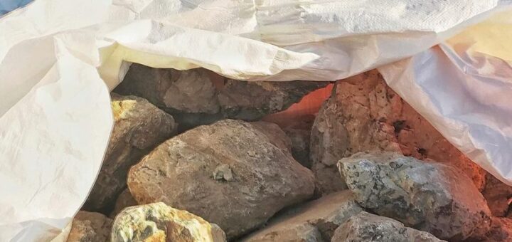 岐阜石、宮崎へ旅立つ