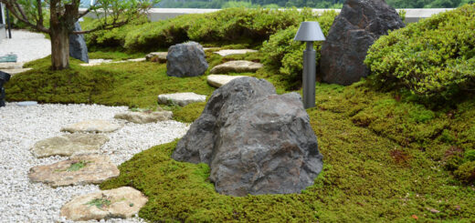 【果樹園と石庭づくりが夢だった奥様】