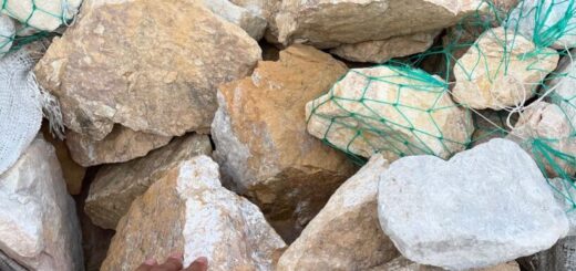 イエローホワイトロック200-300mm