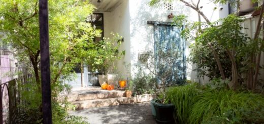 オシャレな庭を作る！デザインと手入れのコツ完全ガイド