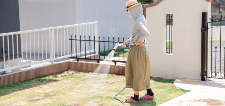 【2024年を振り返る】初心者でもできる！DIYで理想の庭づくり完全ガイド