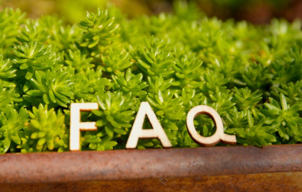 【玉砂利の完全ガイド】庭のプロが選び方からDIYでの敷き方、おしゃれな活用法まで徹底解説 12 faq